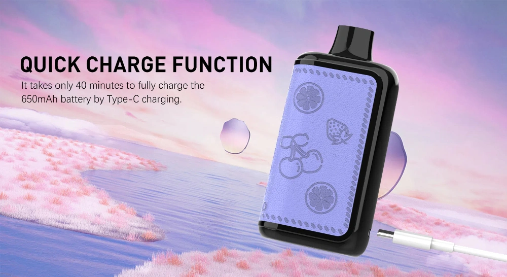 High Quality Tastefog Echo Rechargeable 12000 Puffs Disposable Vaping Box Mod E Cig