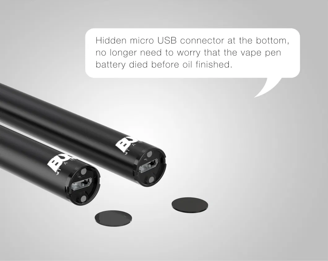 1g 0.5ml Glass Vaporizer Cartridge Rechargeable 550mAh Battery Ceramic Disposable Vape Pen