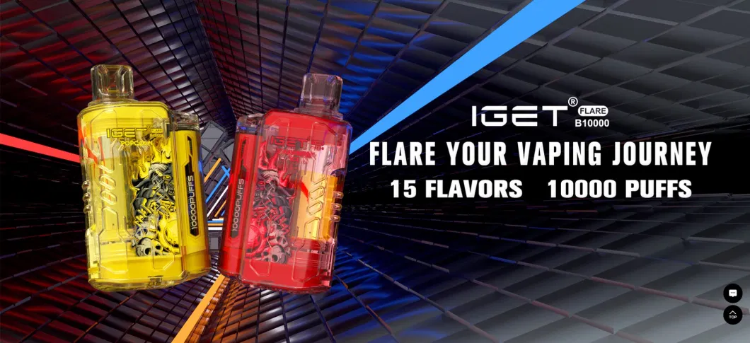 Disposable Vape EU Vape Iget Flare B10000 Puffs Electronic Cigarette Wholesale Iget Vape E Cigarette Vaping