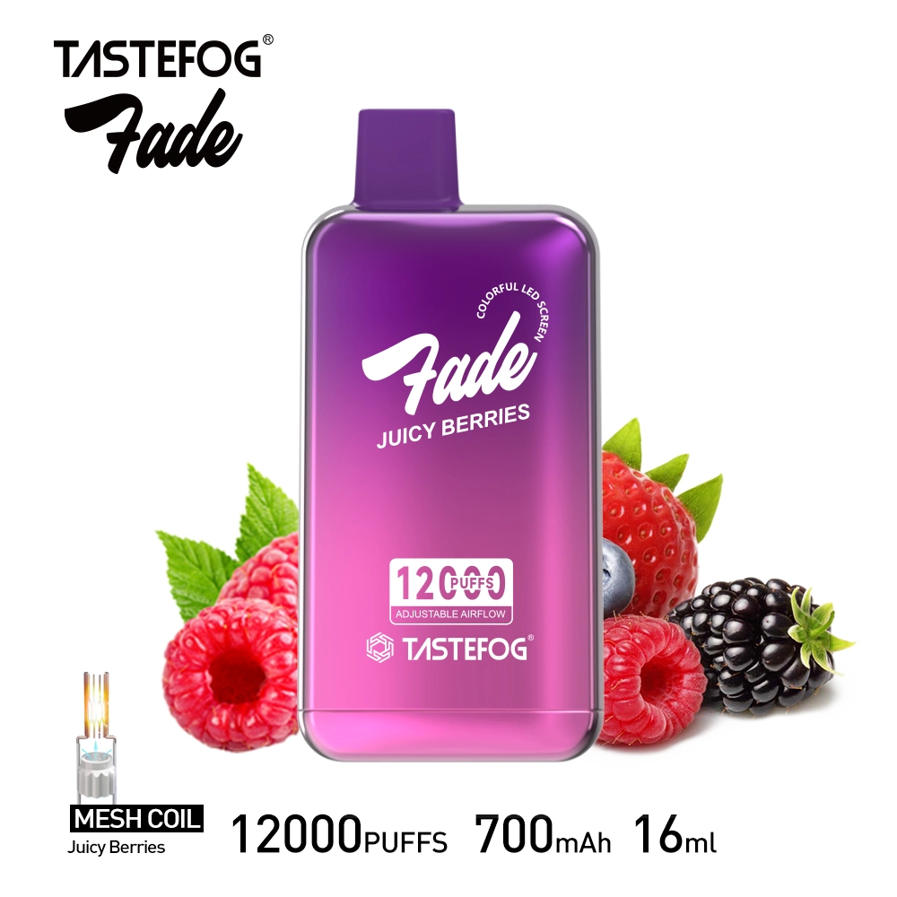 Tastefog Fade 12000 Puffs Disposable Vape Airflow Randm Vape with Screen