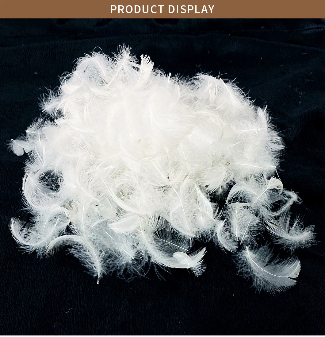 Manufacturer Supply Cheapest 2-4cm Washed White Duck Feather Material