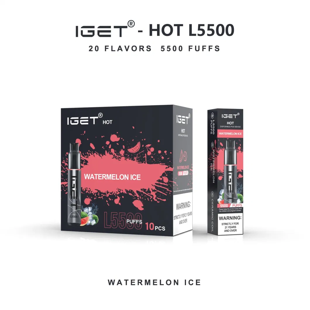 Wholesale Original Iget Me 5000 Puff Bar Mesh Coil Disposable Electronic Wholesale Disposable Vape Pen