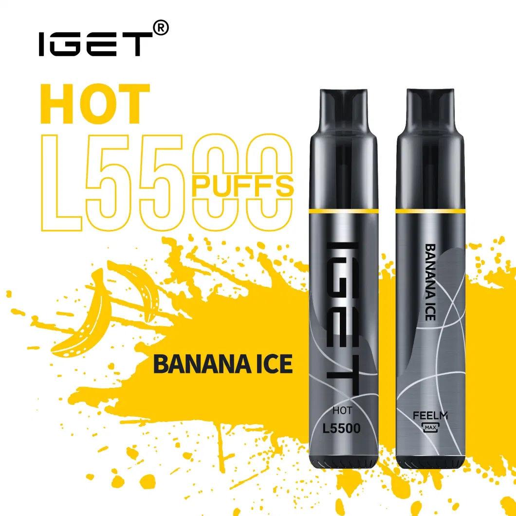 Wholesale Original Iget Me 5000 Puff Bar Mesh Coil Disposable Electronic Wholesale Disposable Vape Pen