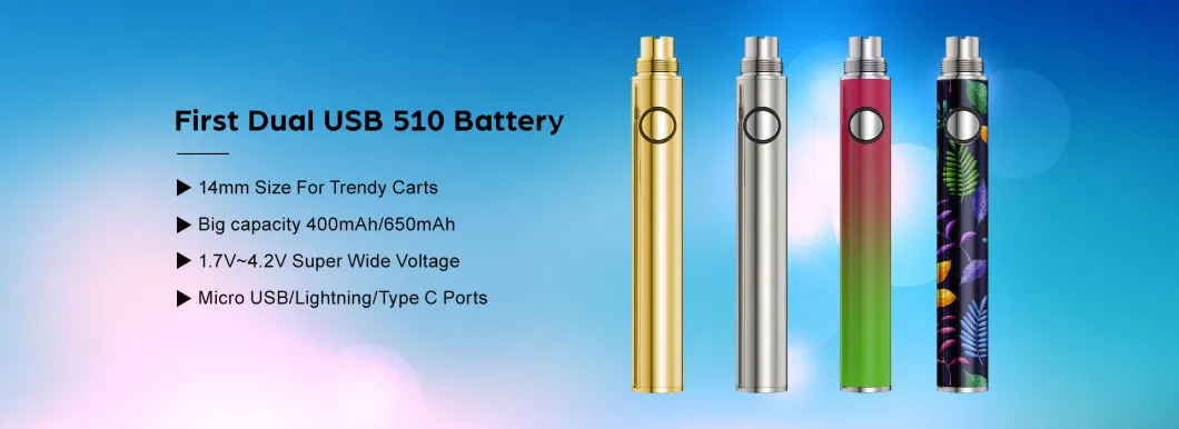 Wholesale Price Customized 510 Vaping Pen Battery 400mAh 650mAh Variable Voltage 510 Thread Vape Batteries with Dual USB-C Ports