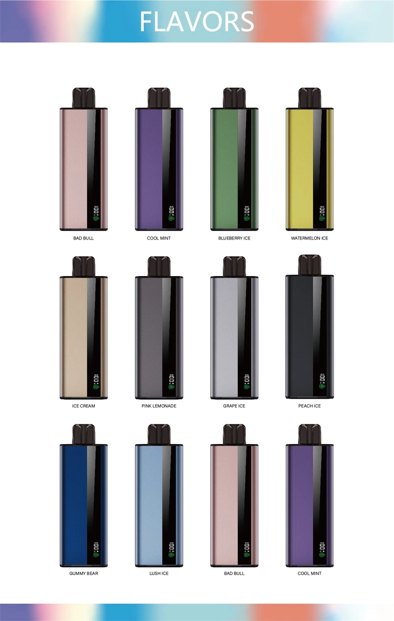 6000 Puffs Disposable Vape Pod Vaporizer with Liquid Indicator and Battery Indicator