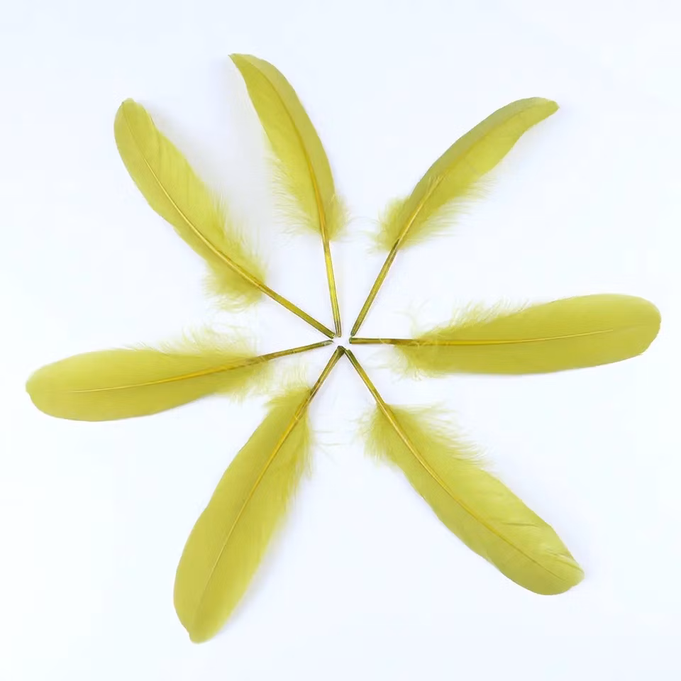 Hot Selling Wholesale DIY Colorful Feather