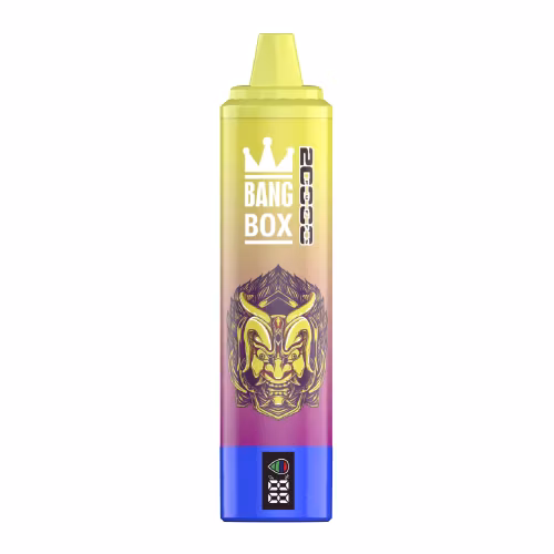 Bang King EU Germany Warehouse Electronic Cigarette Dual Flavors Wholesale Vaper Mini Disposable Vape Bang 30000 30K Puff 2% 5%