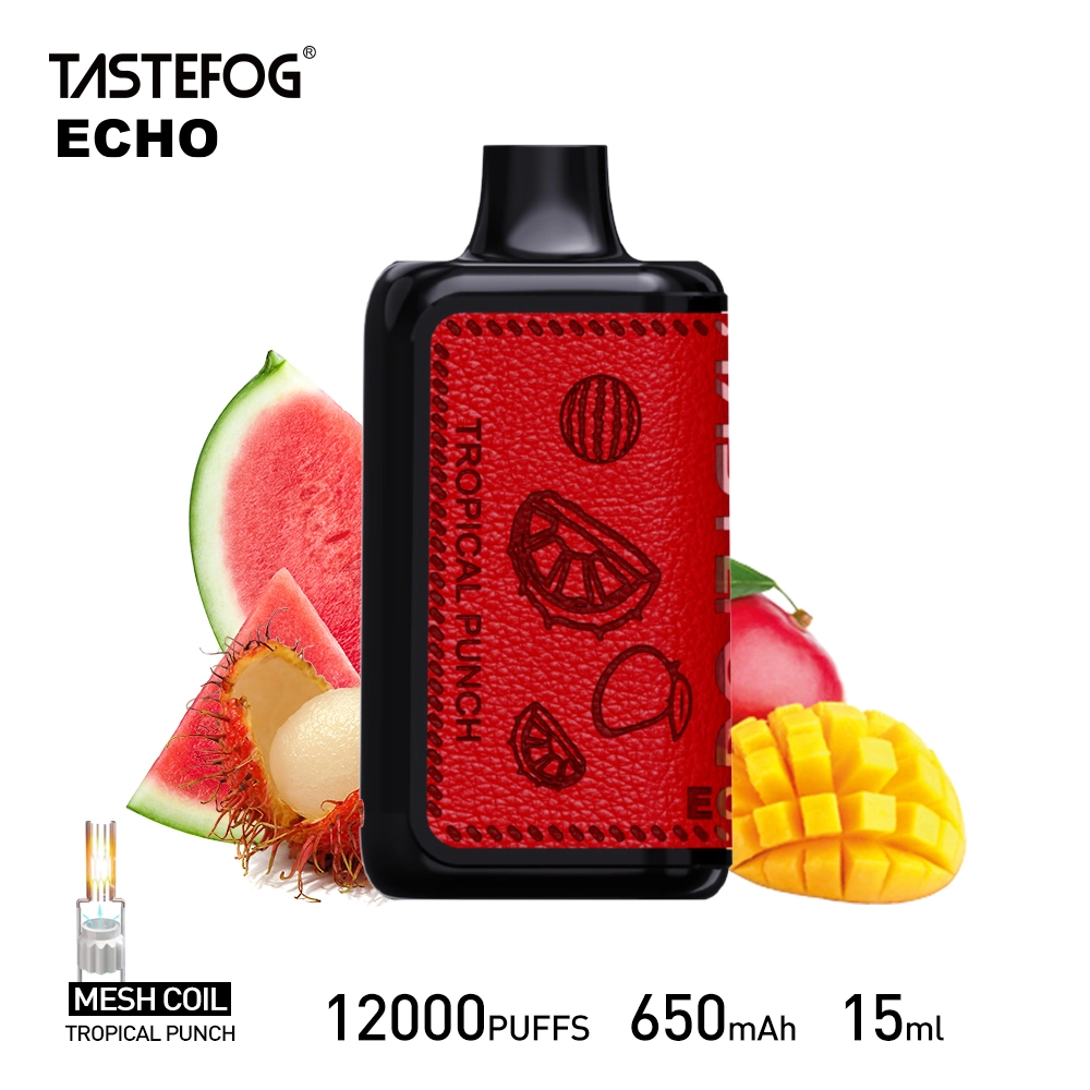 High Quality Tastefog Echo Rechargeable 12000 Puffs Disposable Vaping Box Mod E Cig