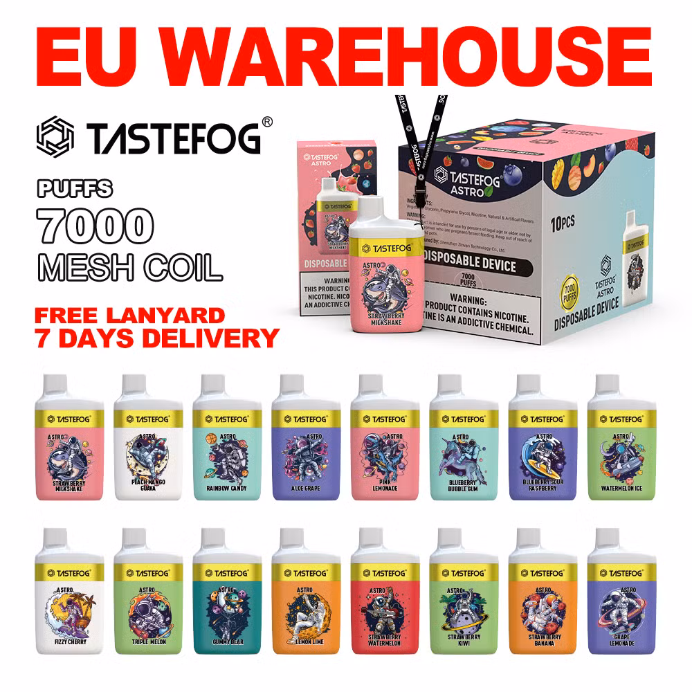 Electronic Smoke Vapers Manufacturers China Wholesale Tastefog Gemini New 25000 25K Puffs Disposable Vape Vaporizer