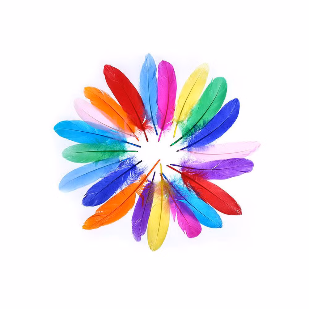 Hot Selling Wholesale DIY Colorful Feather