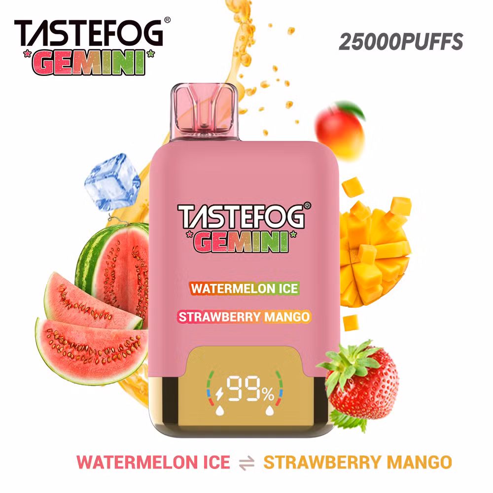 Electronic Smoke Vapers Manufacturers China Wholesale Tastefog Gemini New 25000 25K Puffs Disposable Vape Vaporizer