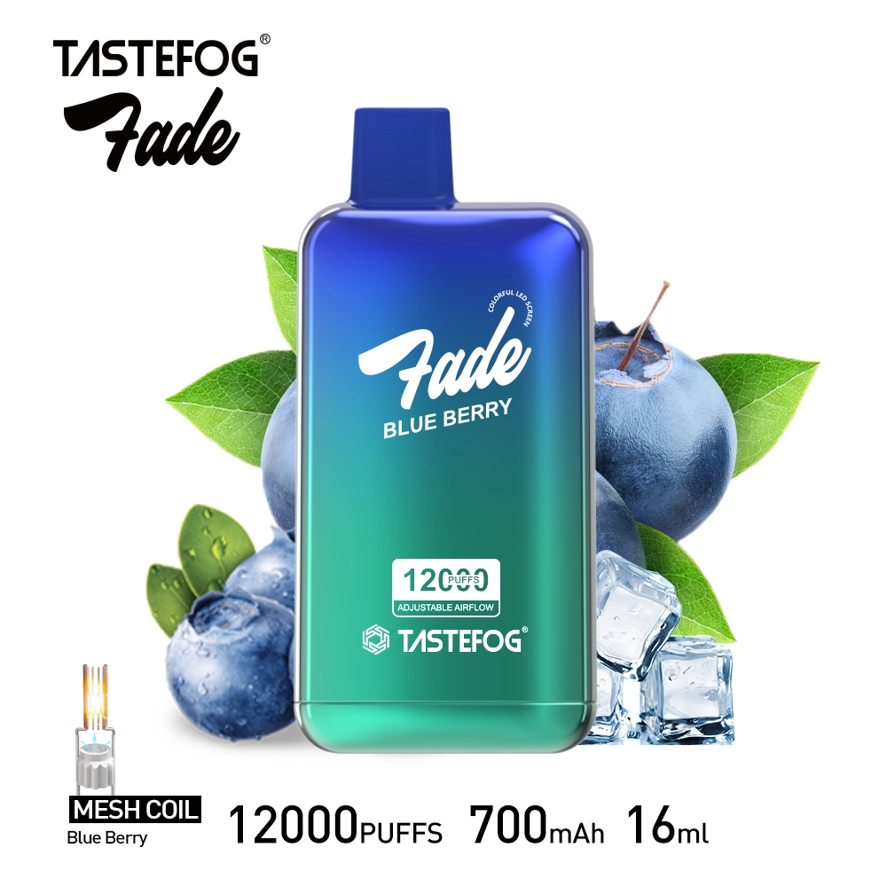 Tastefog Fade 12000 Puffs Disposable Vape Airflow Randm Vape with Screen