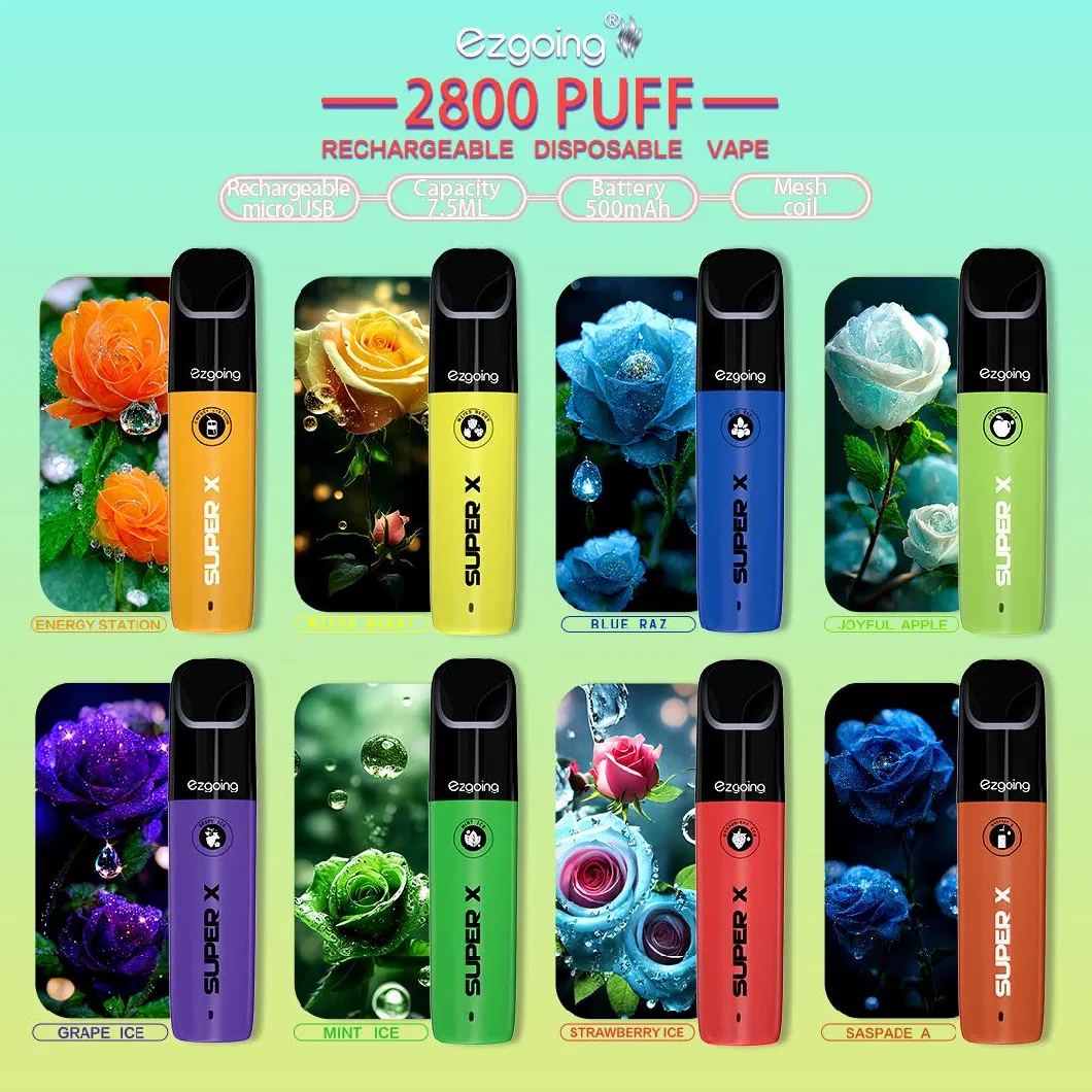 OEM Vaporizer Wholesale Distributor Disposable Vape E Cigarette Puff 2800puffs