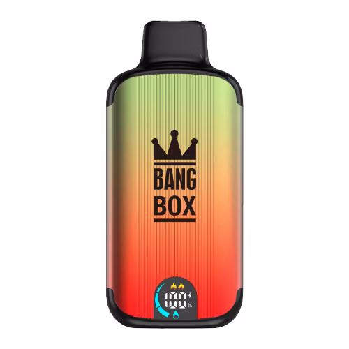Bang King EU Germany Warehouse Electronic Cigarette Dual Flavors Wholesale Vaper Mini Disposable Vape Bang 30000 30K Puff 2% 5%
