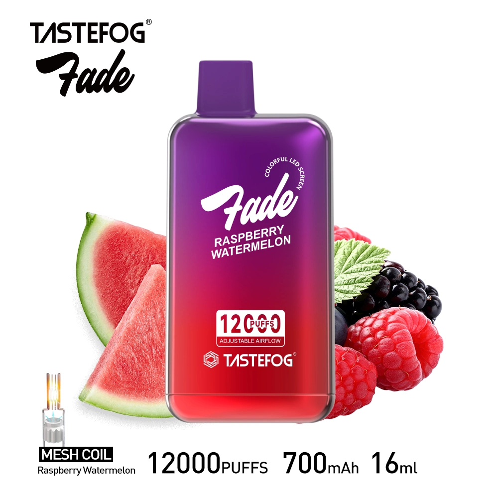 Tastefog Fade 12000 Puffs Disposable Vape Airflow Randm Vape with Screen