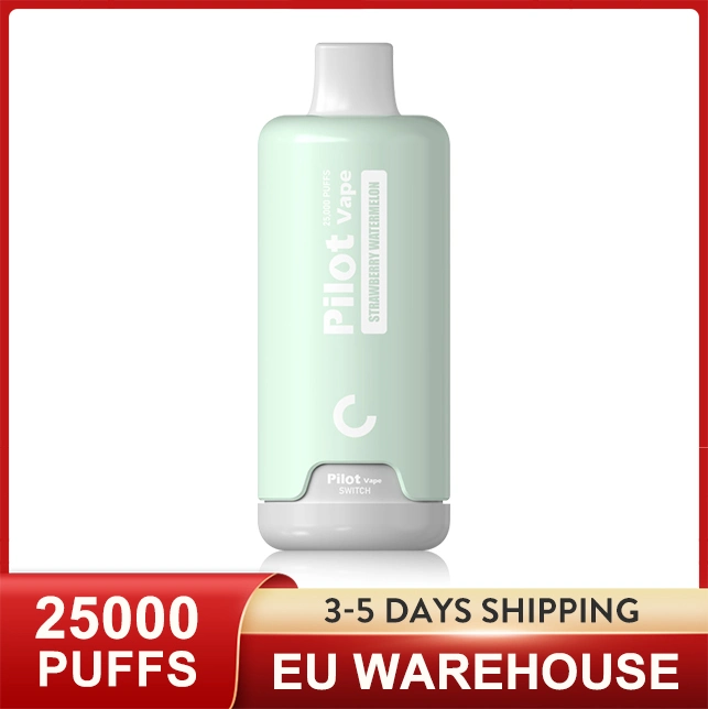 EU Warehouse Pilot 25000 Pod System Indicated Light Electronic Cigarette New Pocket Hookah Puff 20K 20000 Puffs Vape Disposable