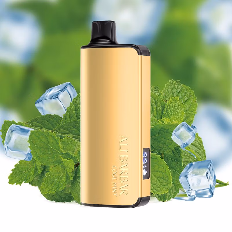 Alibarbar Ingot 9000 Puff Rich Wholesale I Vape Cheap Price Disposable Flavor