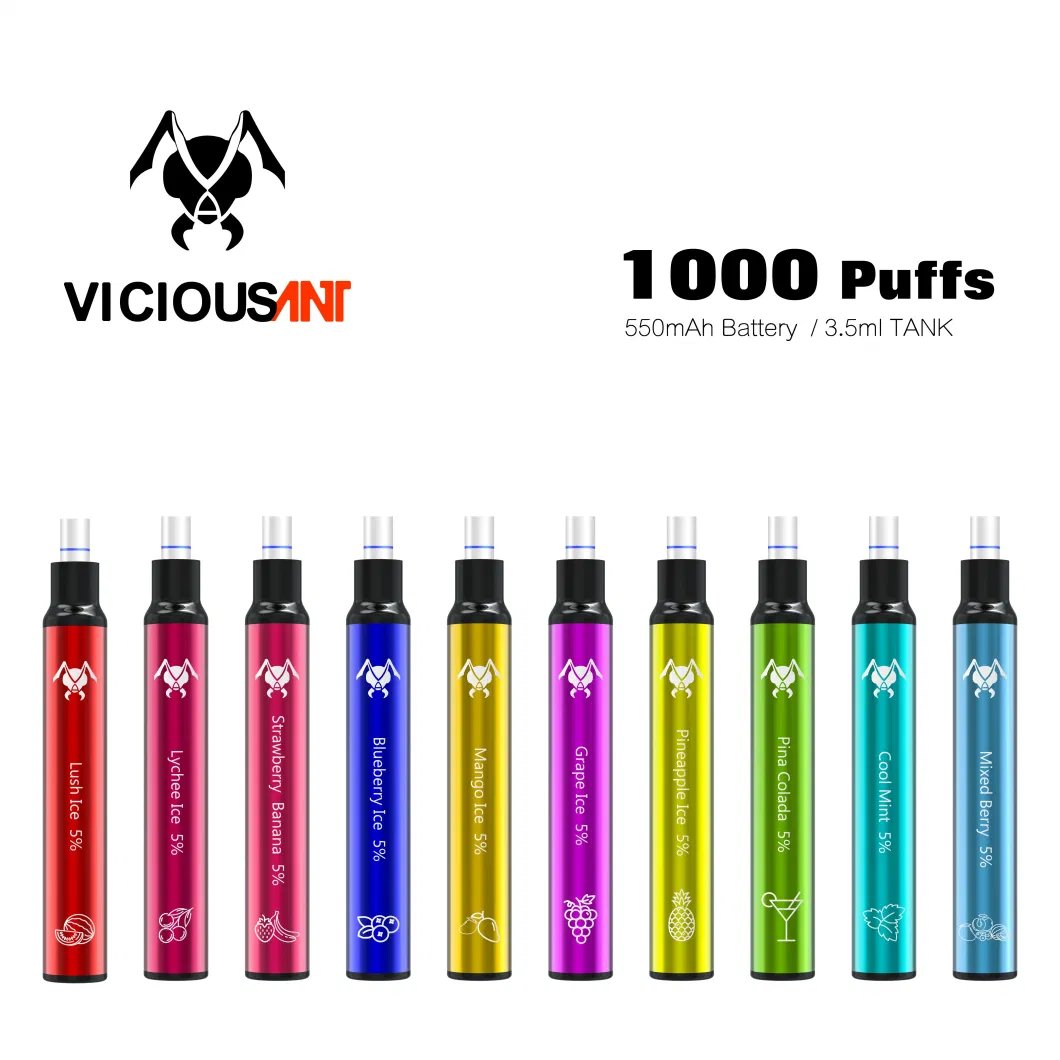 Wholesale Price Different Flavors Vaping E Cigarette Disposable 1000 Puffs with Filter