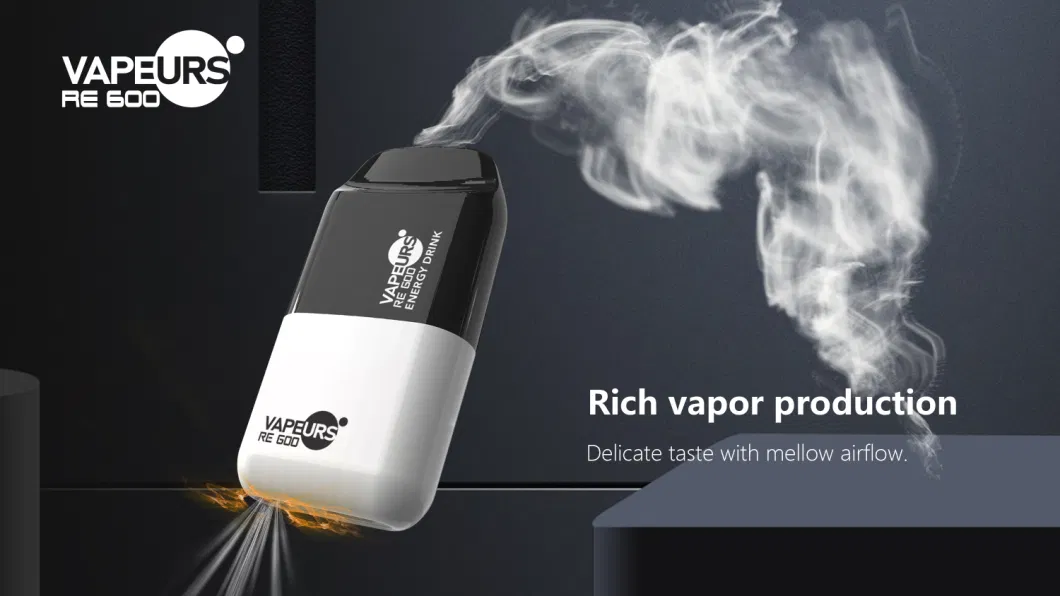 Vapeurs Re600 Puffs 0 Nicotine OEM Pod Disposable Bar Custom Vape Pen