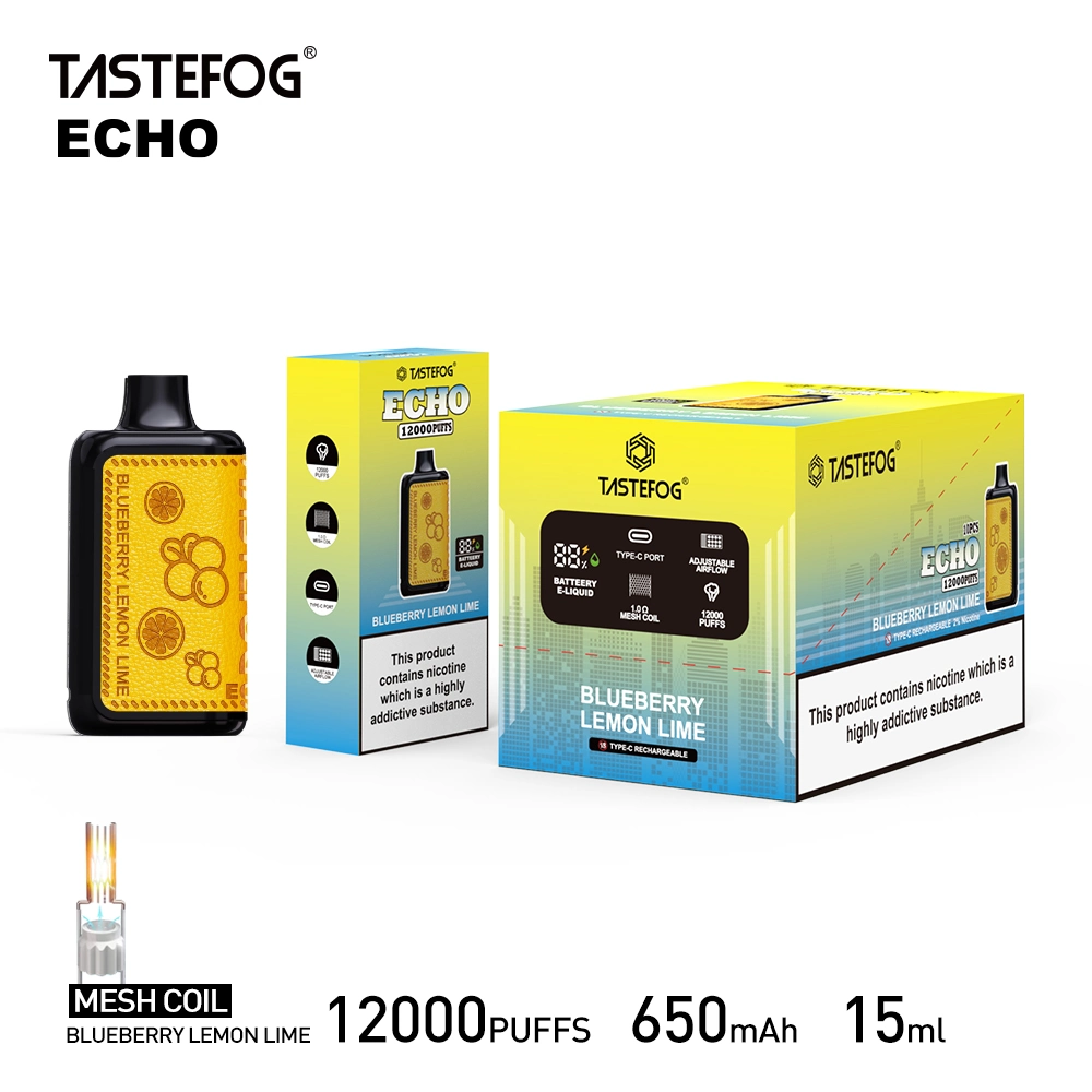 High Quality Tastefog Echo Rechargeable 12000 Puffs Disposable Vaping Box Mod E Cig