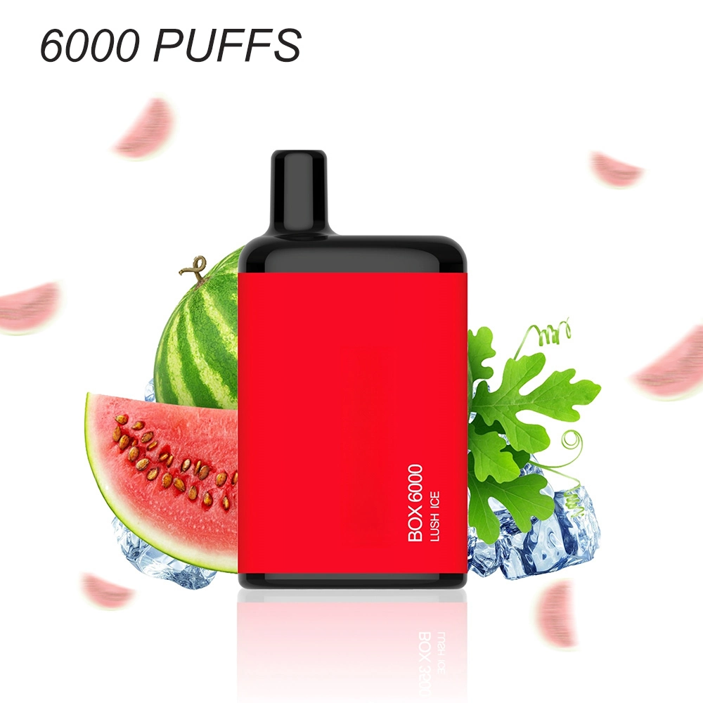 6000 Puffs Disposable Electric Cigarette Vaporizer E Hookah Vapor Electronic Pod Vape Pen