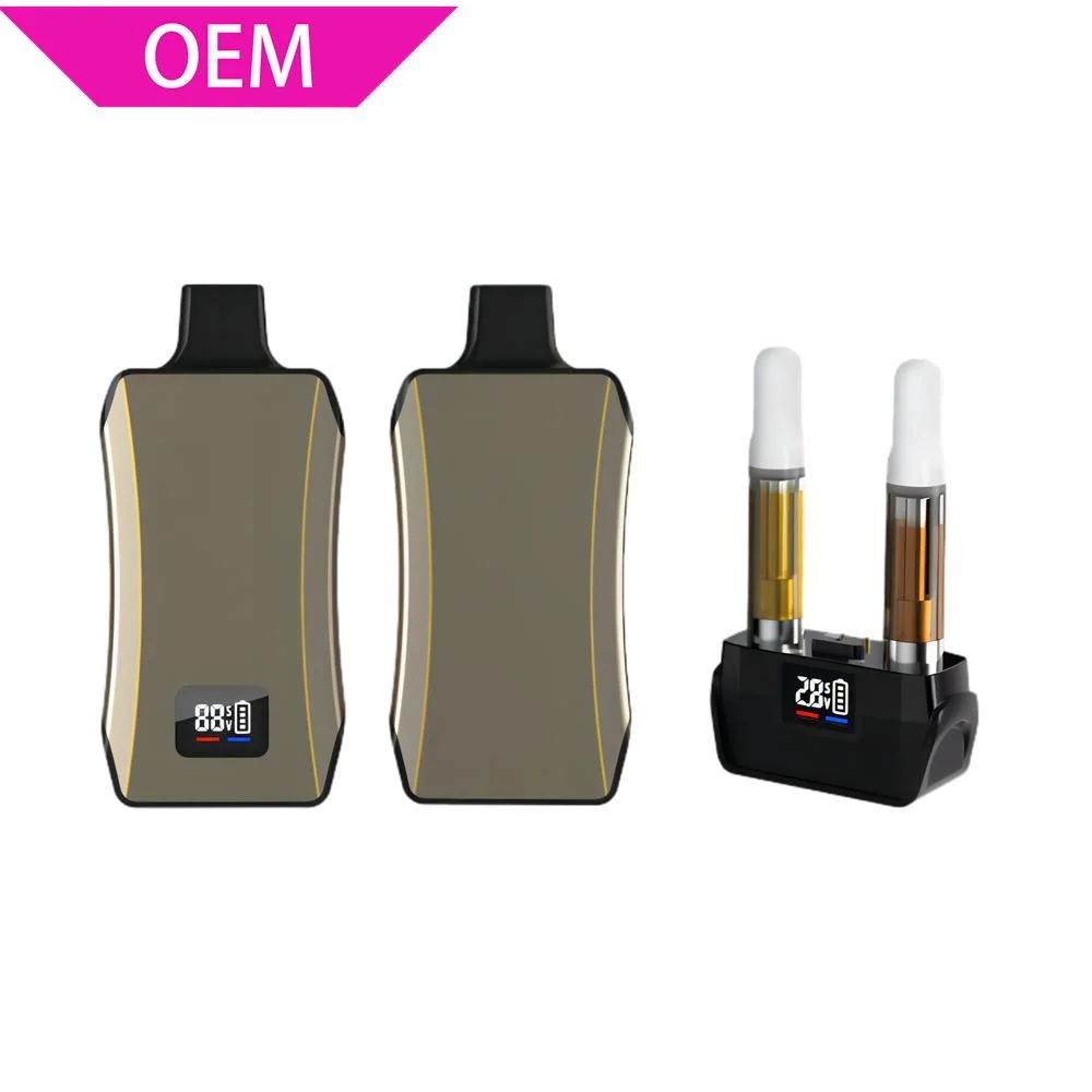 Custom Logo Double Dual Hidden 510 Thread Preheat Discreet Magnetic Autodraw Concealed Conceal Vaporizer Vape Oil Pen Cart Cartridge 650mAh Mod Battery with USB