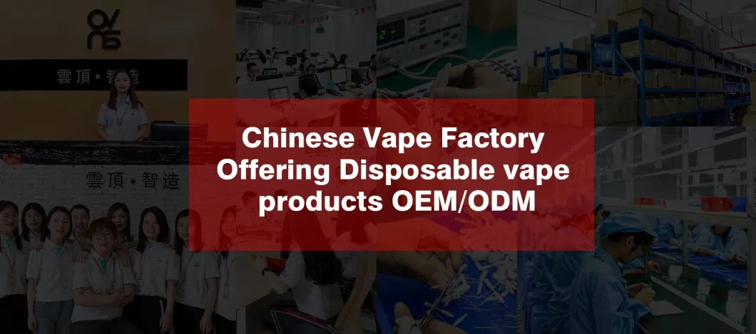 Dual Mesh Coil Changebale Pods Vape Model 8000/4000 Puffs Disposable Vape Kits