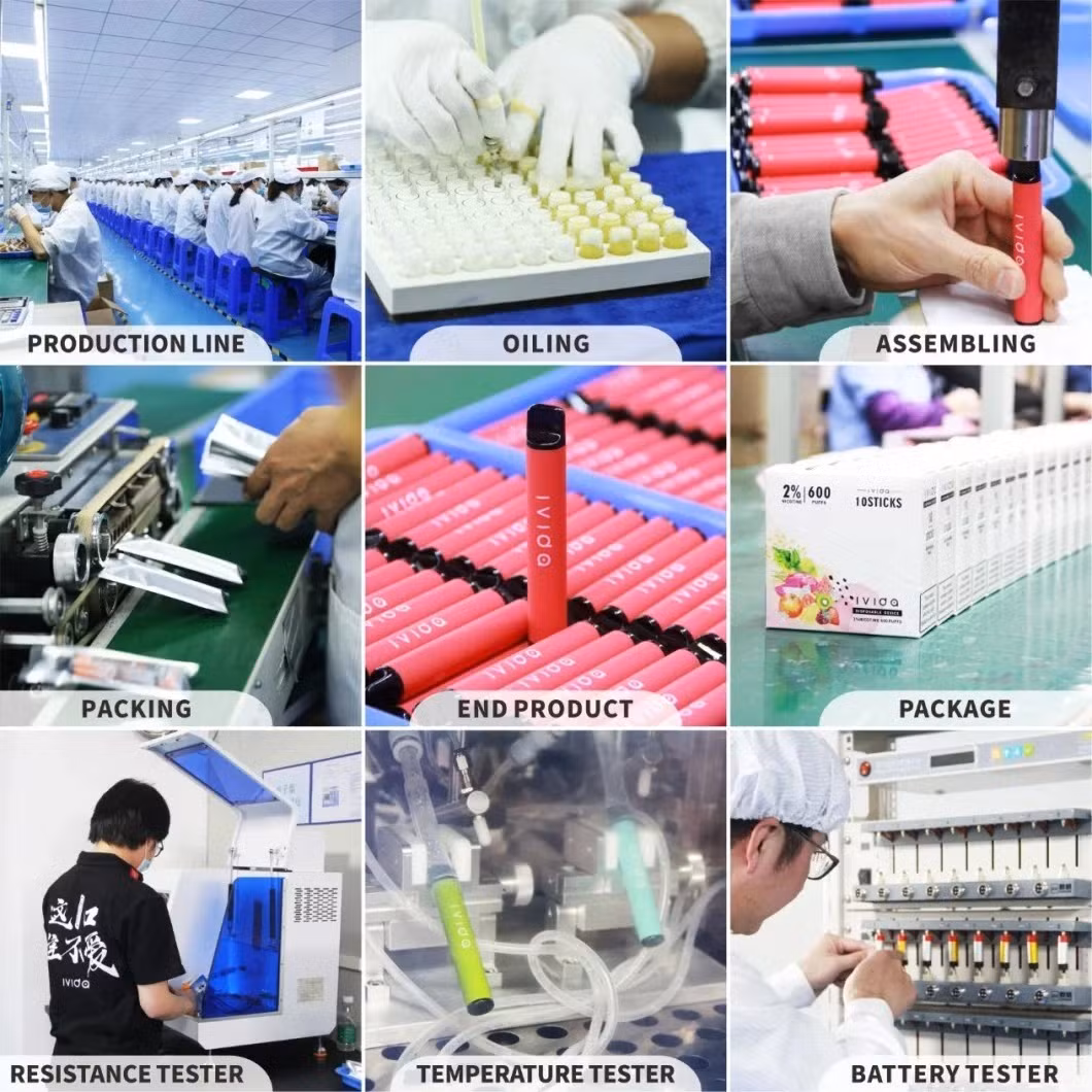 2023 Custom Best Smoking Wholesale Concentrate New Crack W-Eed Mini Wax Flower X Enail DAB Rig Pipe Electric Herbal Pipe Dry Herb Vaporizer