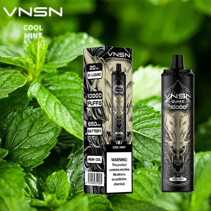 2023 China Wholesale Custom Vaporizer Bars Disposable Vape Pen Vnsn Quake 10000 Puff E Cigarette Nicotine Best Vapes Juice