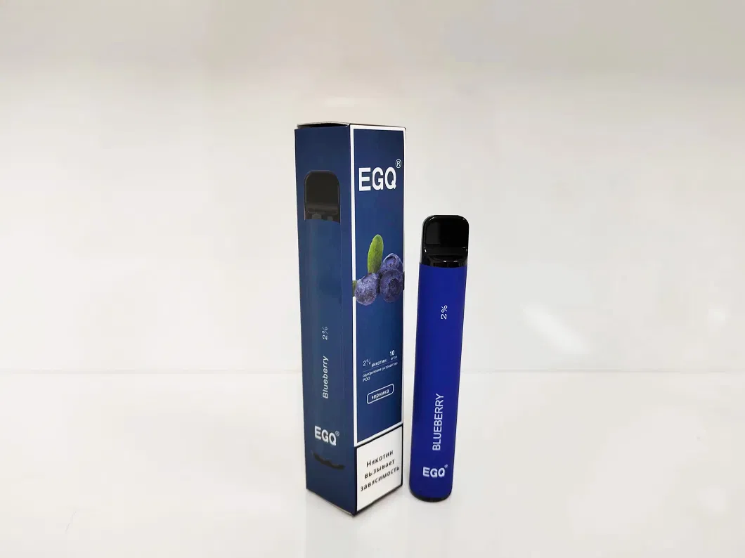 600 Puffs Disposable E-Cigarette with Custom Options