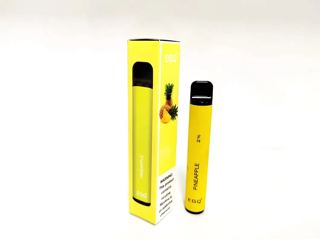 600 Puffs Disposable E-Cigarette with Custom Options