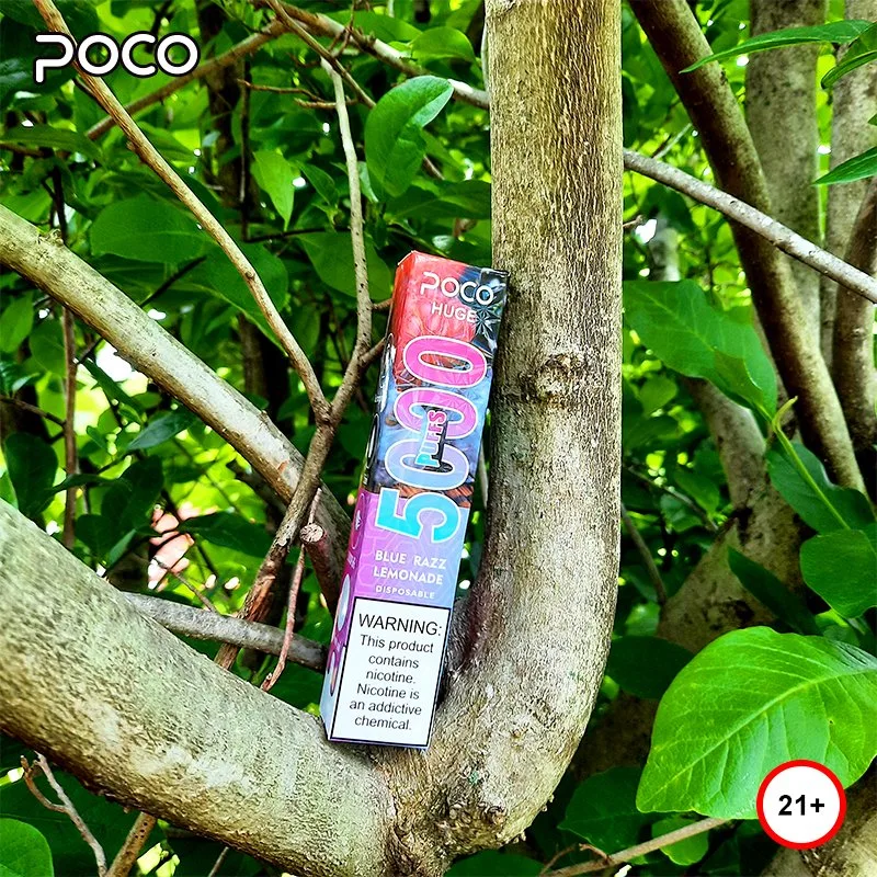 Mesh Coil Poco Huge Disposable Vape Rubber Paint Vape Pen 8 Flavors 5000puffs Wholesale Vape with USA Warehoues Rechargeable