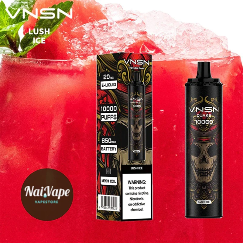 Elf Disposable Vape Vnsn Quake 10000 Puffs Rechargeable Wholesale E-Cig Devicedisposable Vaporizer Pod Gear 5000 7000 100 Fruit Flavor Vape