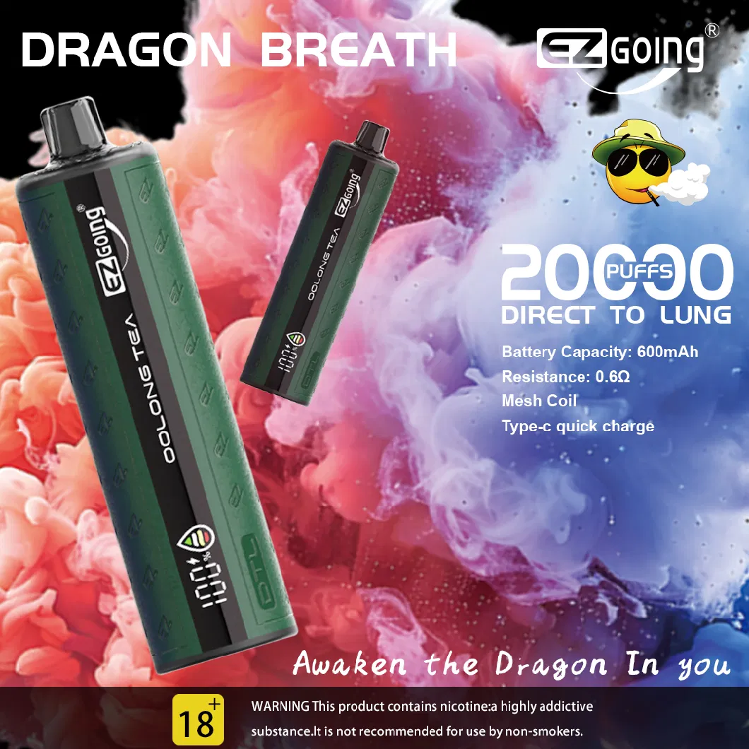 Ezgoing Factory 20000puff Direct Lung Vape Disposable Shisha Flavour Pocket Hookah Price