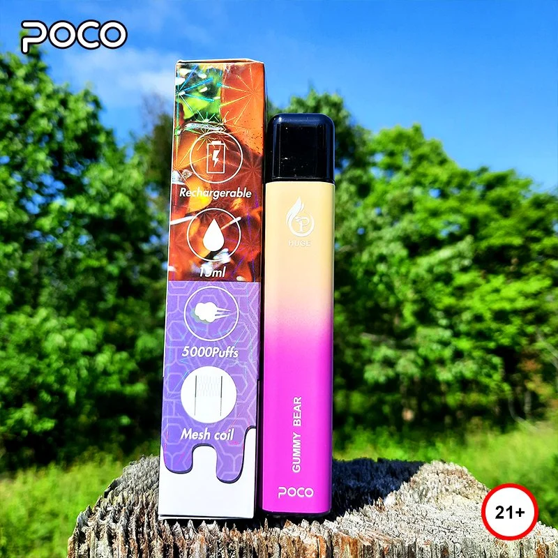 Mesh Coil Poco Huge Disposable Vape Rubber Paint Vape Pen 8 Flavors 5000puffs Wholesale Vape with USA Warehoues Rechargeable