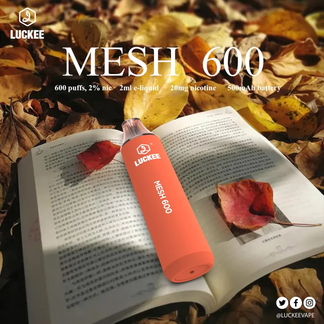 Disposable Vape E Cigarette 600 Puffs Crystal Bar Mesh Coil