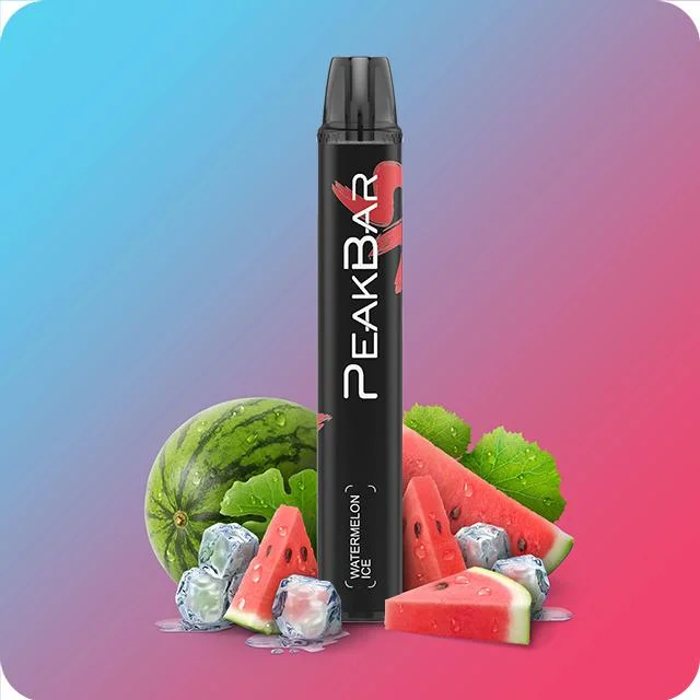 Peakbar Disposable Vape 600puffs Eco- Friendly E Cigarette Online Shopping Puff Bar China Wholesale