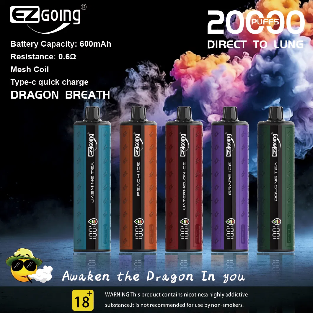 Ezgoing Factory 20000puff Direct Lung Vape Disposable Shisha Flavour Pocket Hookah Price