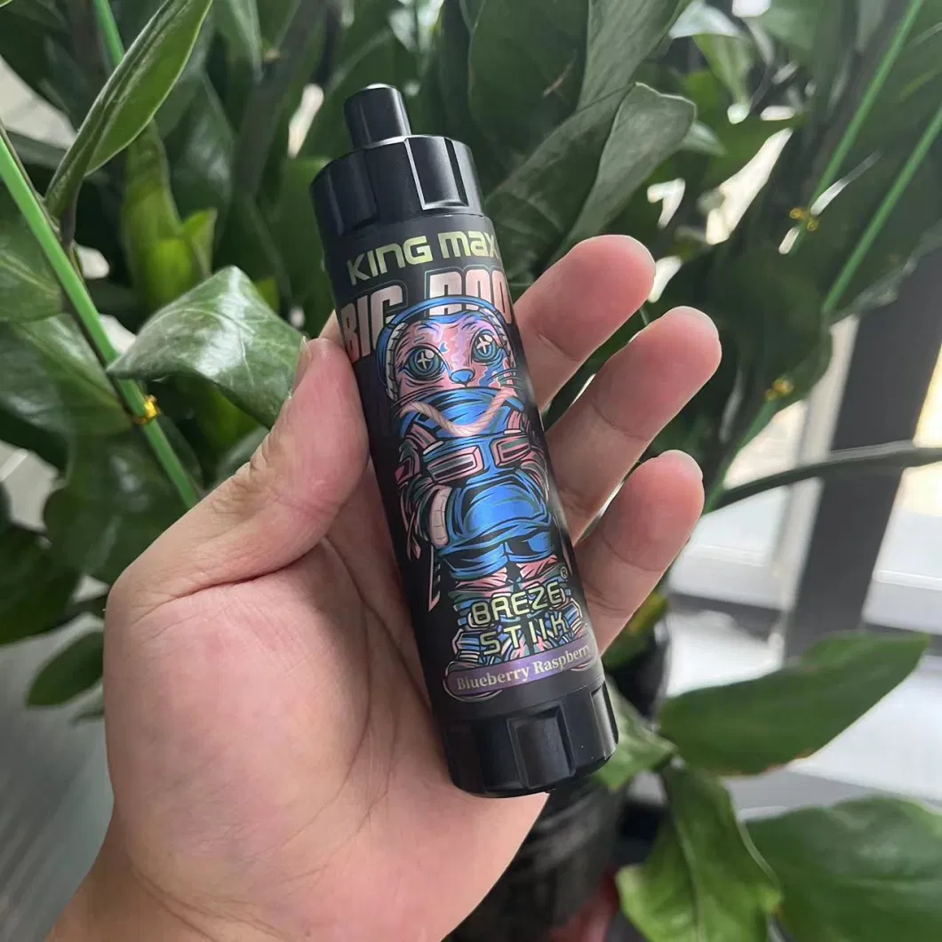 Big Smoke Baeze Stiik Kingmax Dtl 10000 Puff Plus Disposable Vape