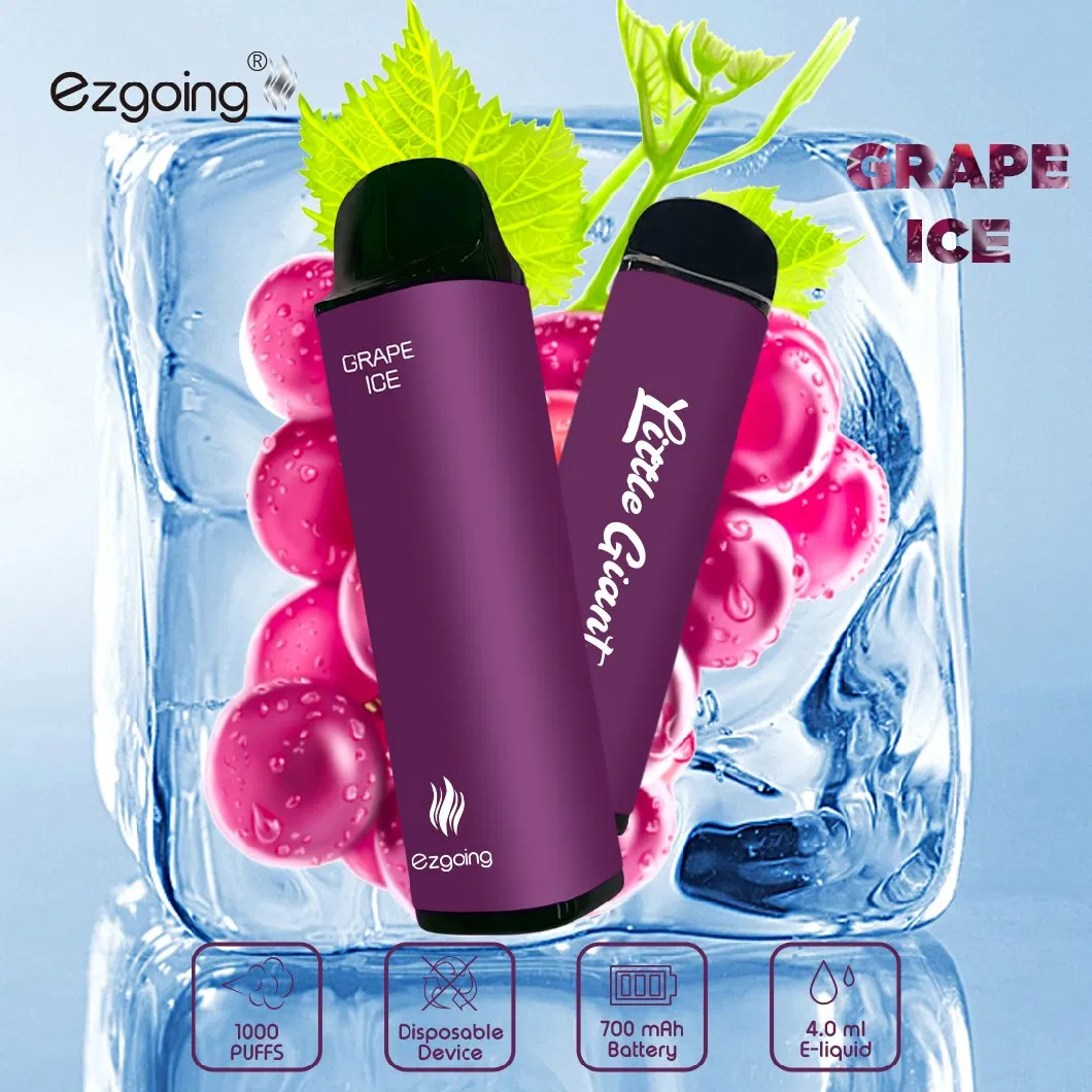 Ezgoing Brand Fruit Flavor Electronic Cigarette 800 Puffs Disposable Pods Vape Pen