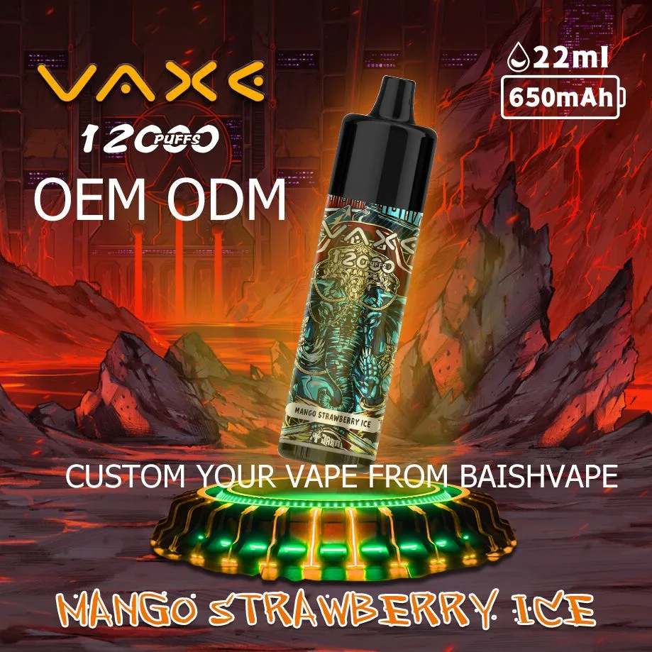 Vaxe 12K Puffs Zbood Private label Pi9000 Europe Cute Luckee Vuse Go E Cigarette Disposable Vape