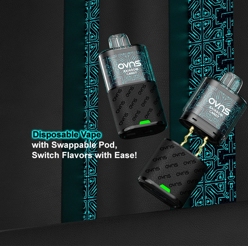 Dual Mesh Coil Changebale Pods Vape Model 8000/4000 Puffs Disposable Vape Kits