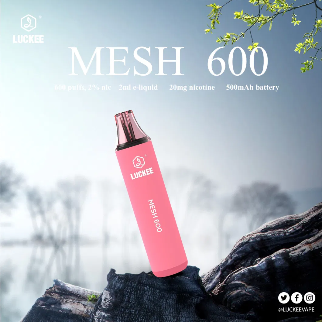 Disposable Vape E Cigarette 600 Puffs Crystal Bar Mesh Coil