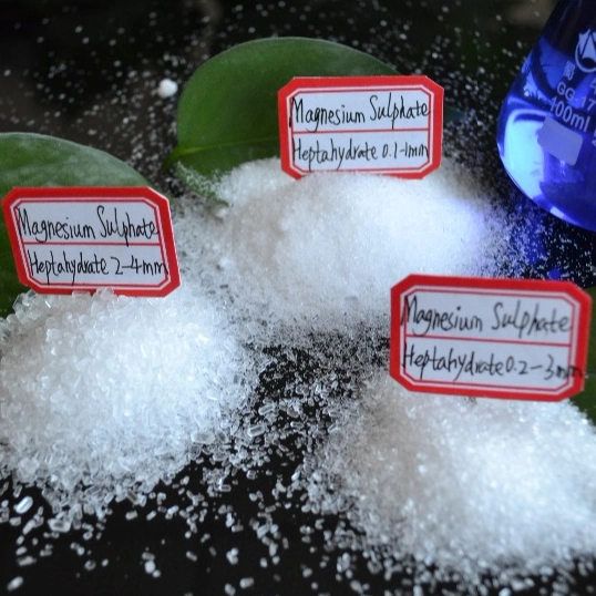 High Quality Free Sample Magnesium Sulphate Epsom Salt