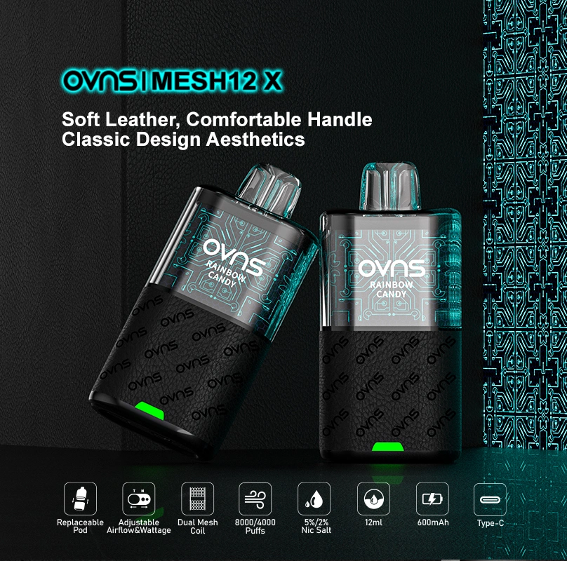 Dual Mesh Coil Changebale Pods Vape Model 8000/4000 Puffs Disposable Vape Kits