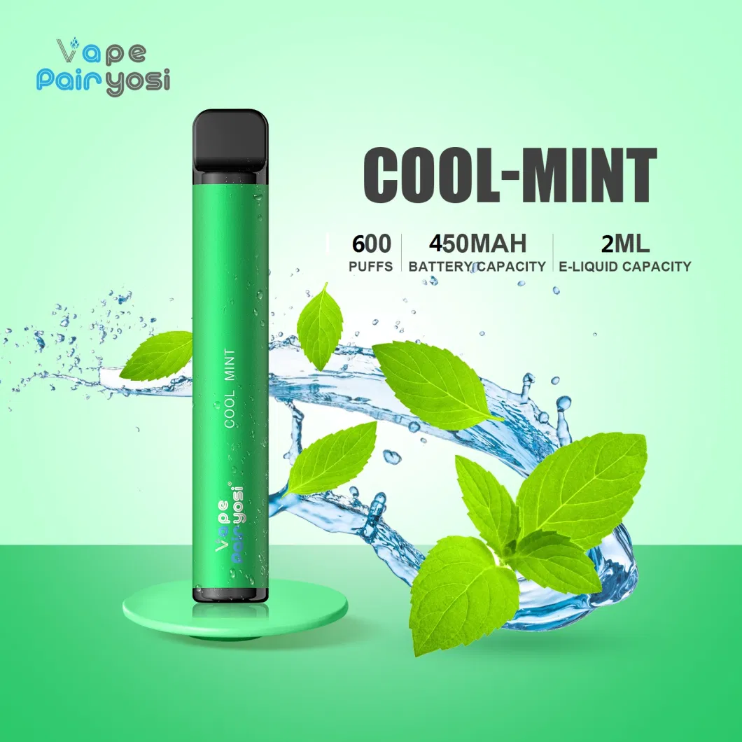 Hot Selling in UK 2% Nicotine Vape Pen 600 Puffs Ecigarette Mini Pod Disposable Vape Tpd Certificate