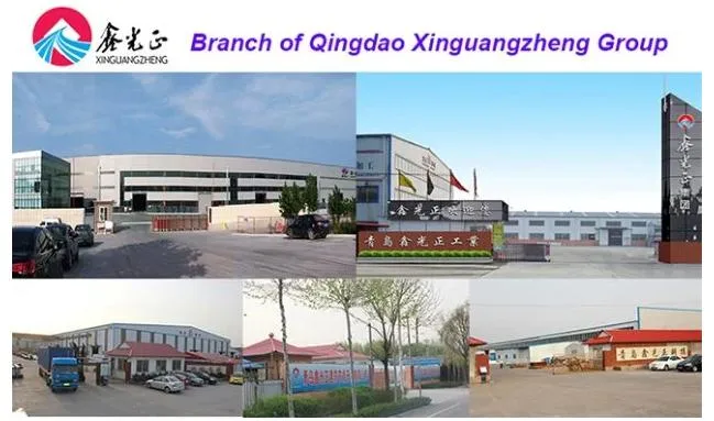 20ft Standard Container House with Sandwich Panel Making (XGZ-CH016)