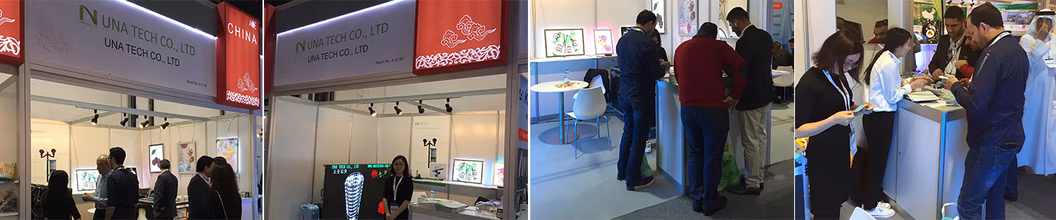 Shopping Mall Advertising All-in-One Interactive Touch Screen Digital Display LCD Kiosk