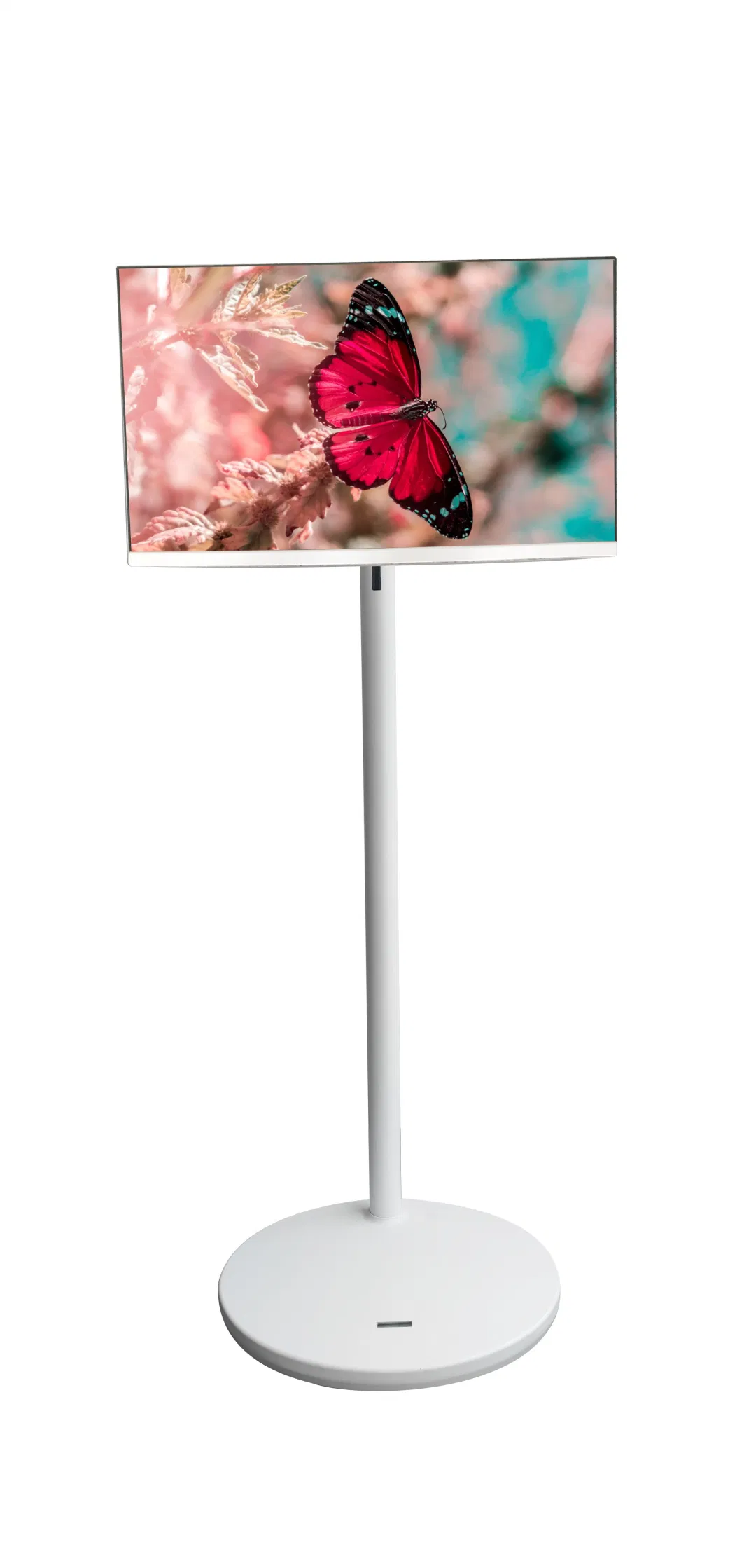 23.8 Inch Network WiFi Advertising Video Player Full HD Digital Signage LCD Panel Display Touch Screen Kiosk with Movable Standing and Powered Battery