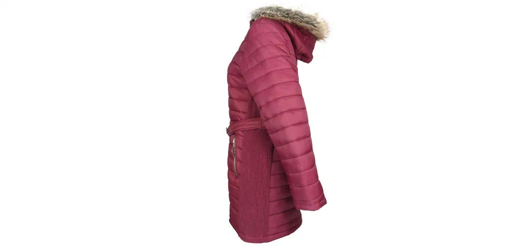 Ladies Custom Wholesale Padding Jacket Fashion Windproof Plus Size Women Long Down Jacket